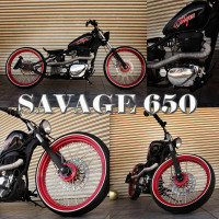 SAVAGE 650 GROUP
